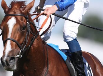 Masar goes for Hardwicke challenge