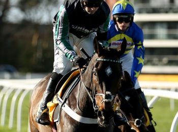 Altior to take part in Super Saturday race in Newbury