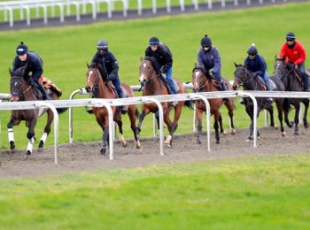 BHA Postpones Whip Investigation